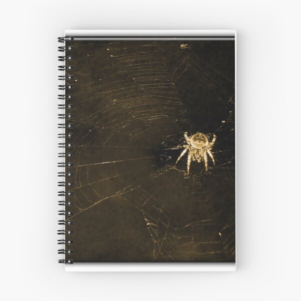 Item preview, ©BPS Spider On The Wind II Sepia designed and sold by OmarHernandez.