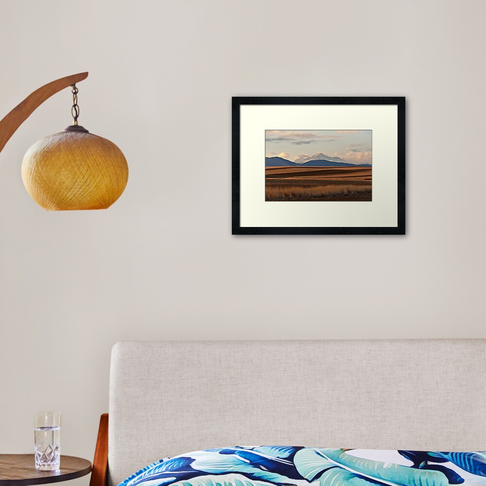 Wheat Fields and Longs Peak Framed Art Print