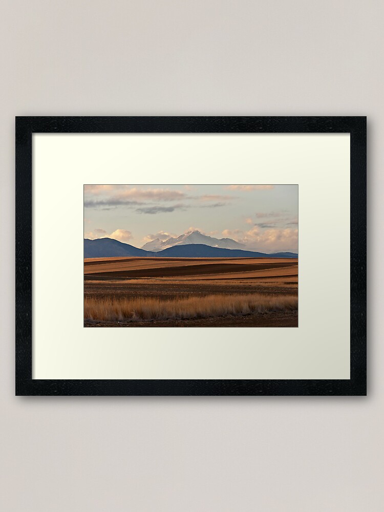 Alternate view of Wheat Fields and Longs Peak Framed Art Print