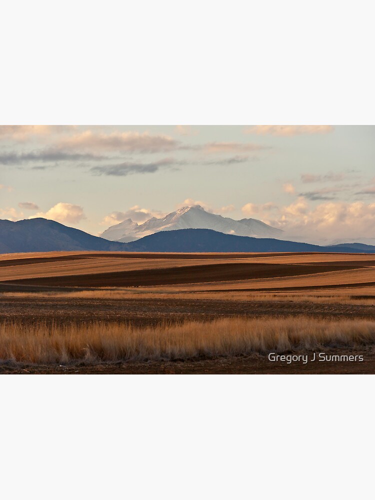 Wheat Fields and Longs Peak by nikongreg