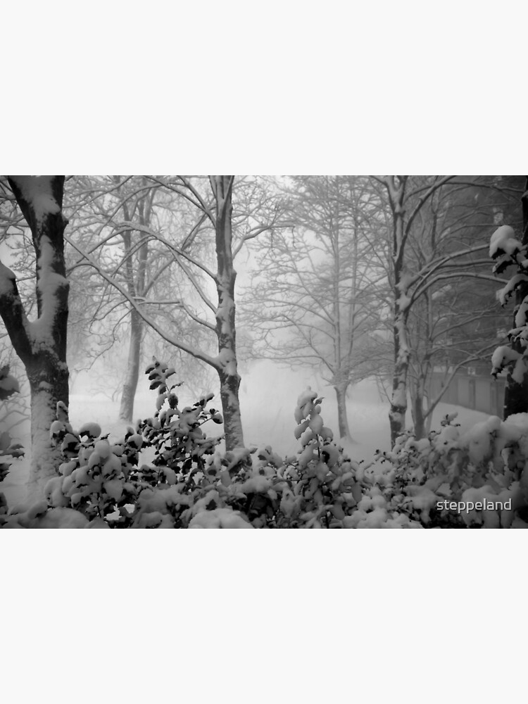 We got snow today! by steppeland