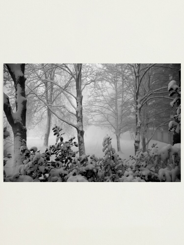 Alternate view of We got snow today! Photographic Print