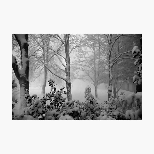 We got snow today! Photographic Print