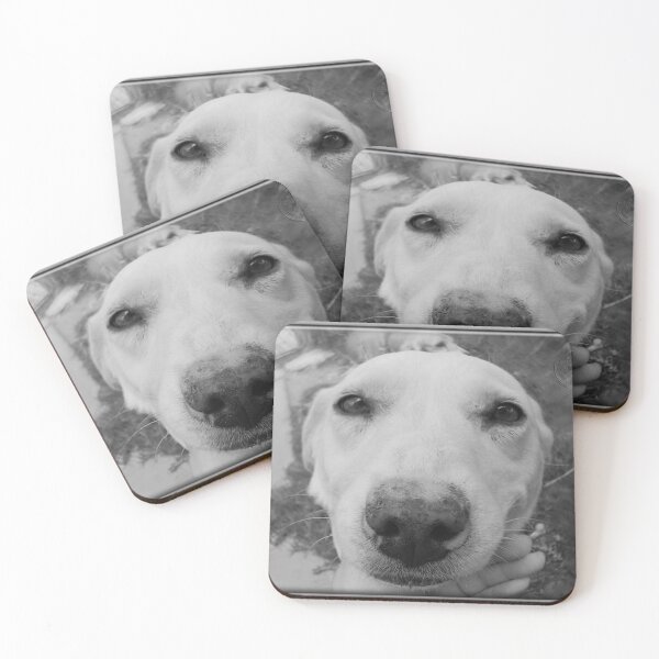 Item preview, ©PetSeries-BPS La Güera I Monochromatic designed and sold by OmarHernandez.