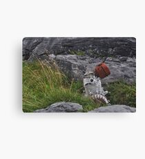 R2D2 Canvas Print