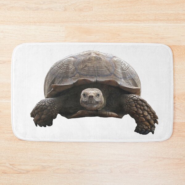 Item preview, Sulcata Tortoise designed and sold by misimichu.