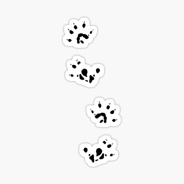 Sugar Glider Paw Prints- Black Sticker