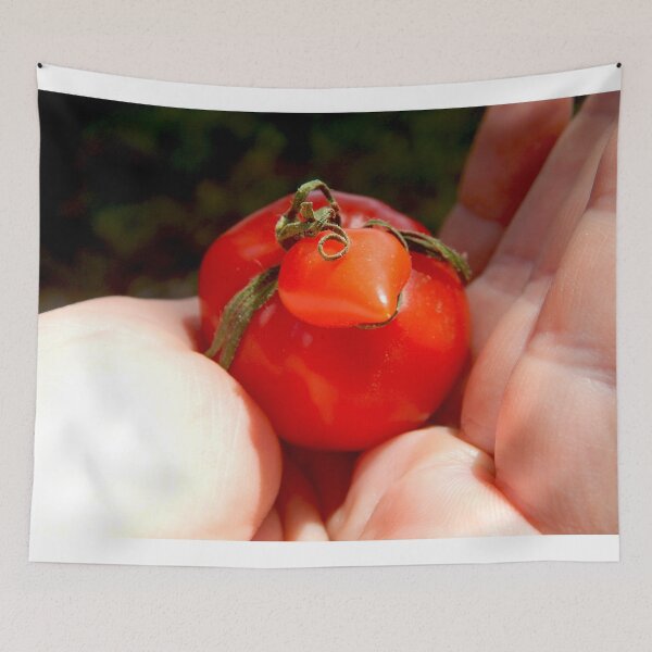 Artikelvorschau, kleine rote Tomatenhuhnhenne entworfen und verkauft von Stephanie Skeem.
