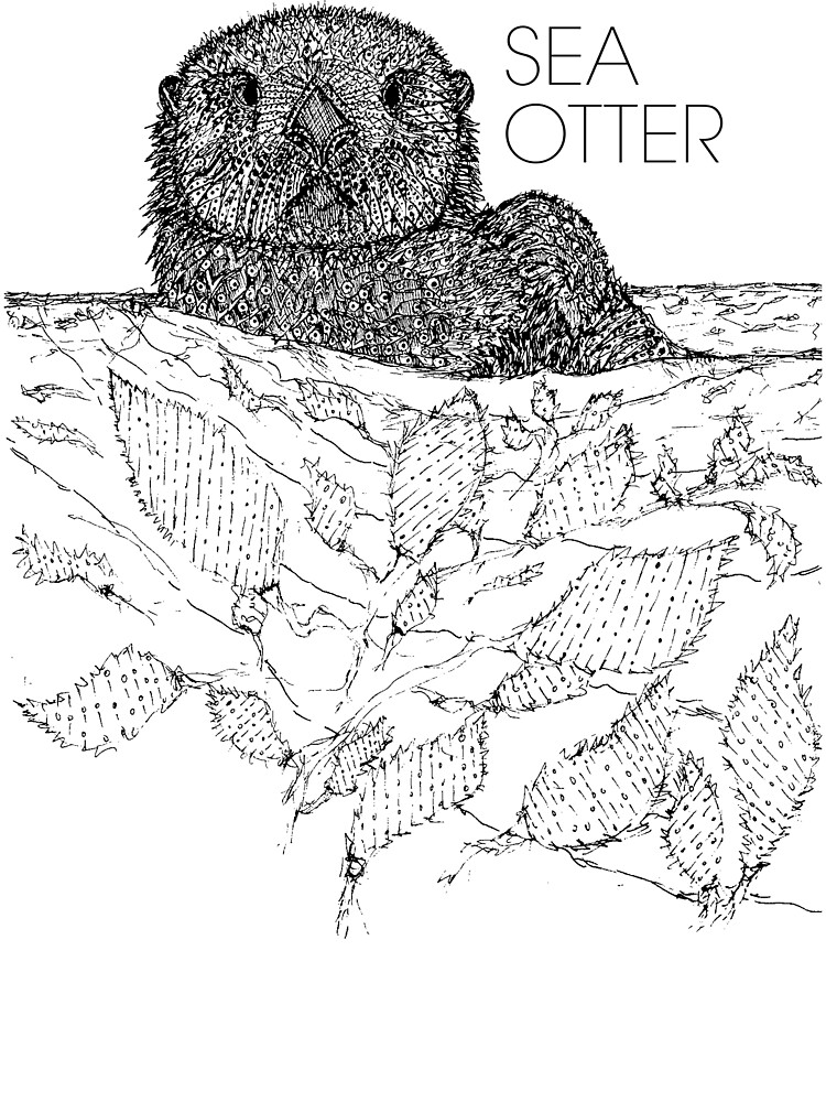 sea otter sketch kids t shirt by hinterlund redbubble sea otter sketch kids t shirt by hinterlund redbubble