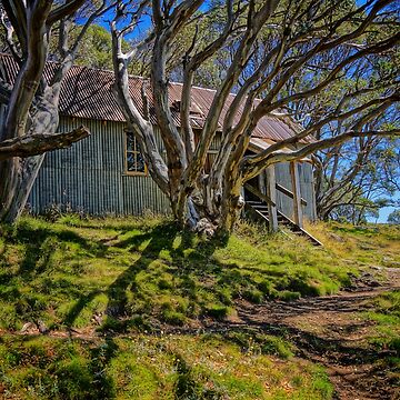 Artwork thumbnail, Cope Hut by D-GaP