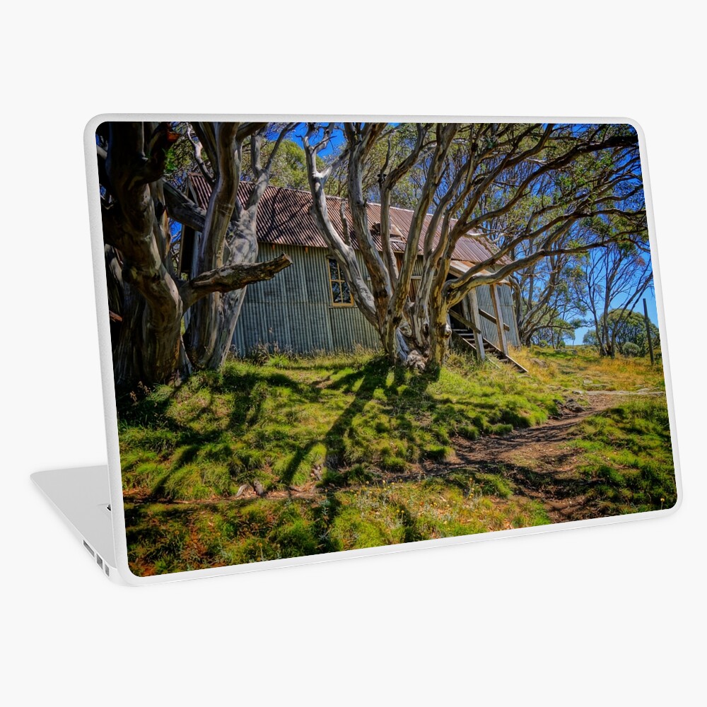 Item preview, Laptop Skin designed and sold by D-GaP.