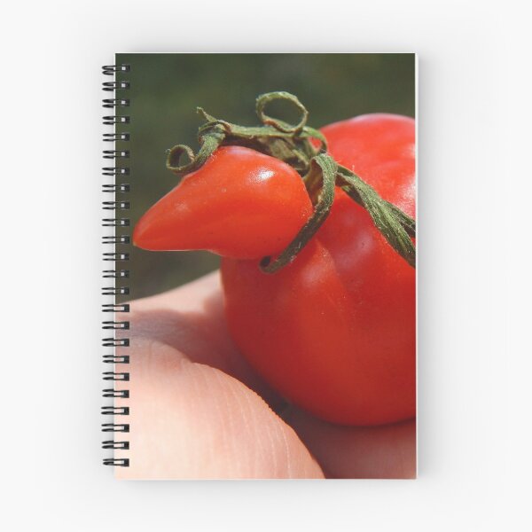 Artikelvorschau, kleine rote Tomatenhuhnhenne entworfen und verkauft von Stephanie Skeem.