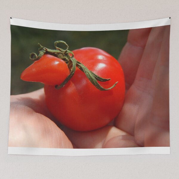 Artikelvorschau, kleine rote Tomatenhuhnhenne entworfen und verkauft von Stephanie Skeem.