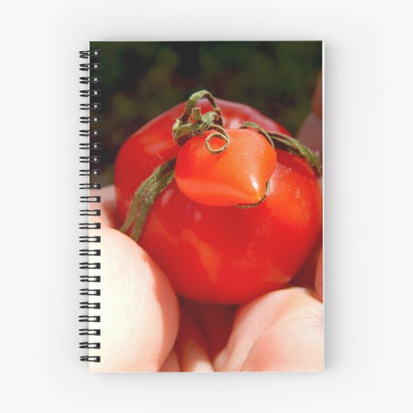 Artikelvorschau, kleine rote Tomatenhuhnhenne entworfen und verkauft von Stephanie Skeem.