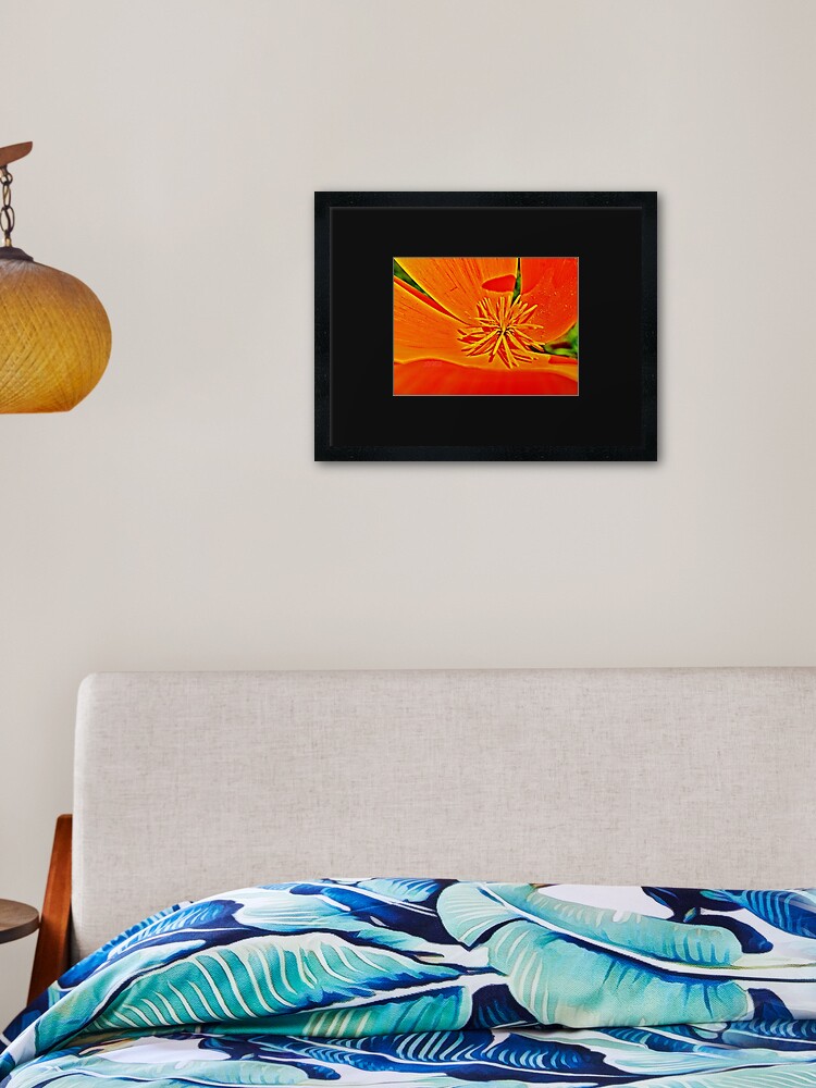 Thumbnail 1 of 7, Framed Art Print, Orange Poppy Star designed and sold by 32DARTS.