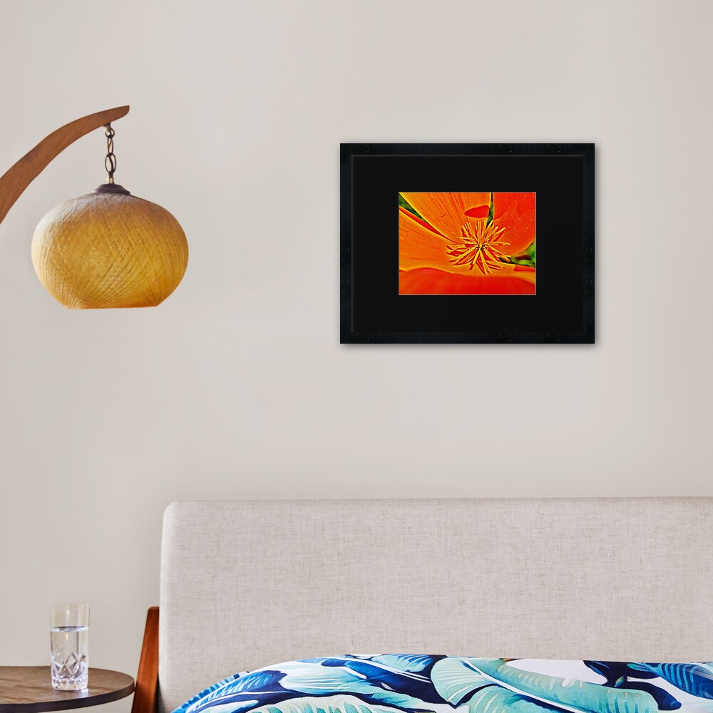 Orange Poppy Star Framed Art Print