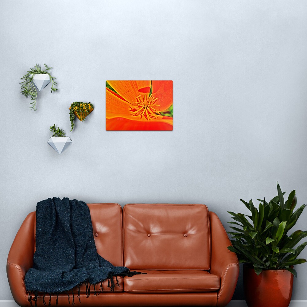 Orange Poppy Star Metal Print