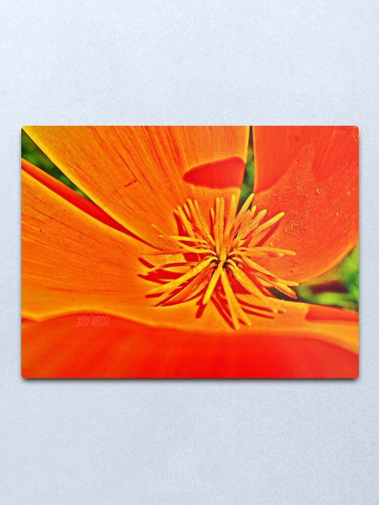 Alternate view of Orange Poppy Star Metal Print