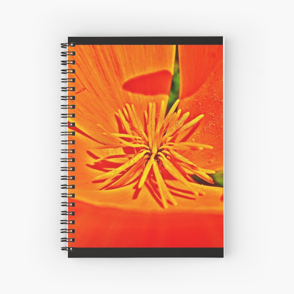 Item preview, Spiral Notebook designed and sold by 32DARTS.