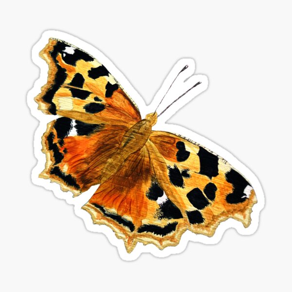 Nymphalis vaualbum samurai (Compton Tortoiseshell or False Comma) Sticker