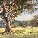 Tallarook Paddock Tree by Lynda Robinson
