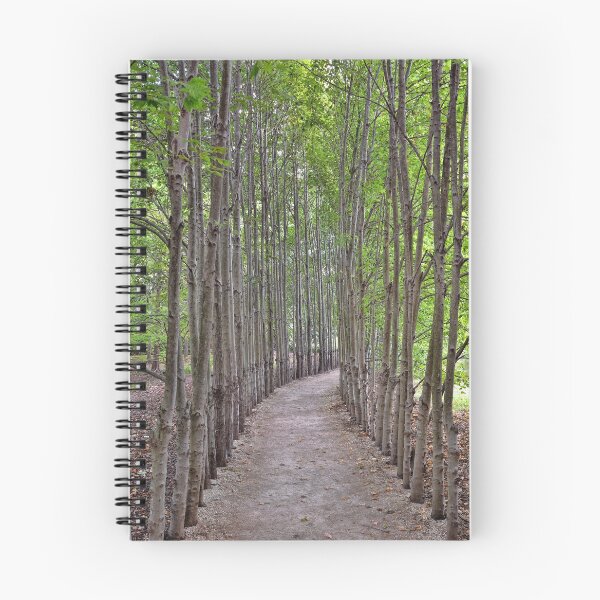 Item preview, The Long And Winding Road designed and sold by Lanis Rossi.