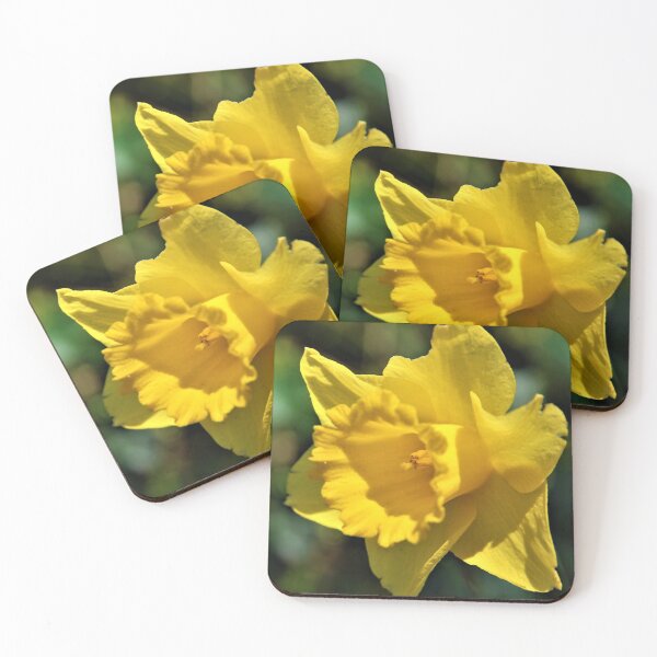 Item preview, Daffodil designed and sold by WinterRabbitArt.