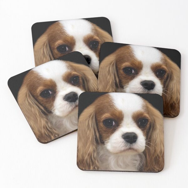 Item preview, Oh No! Not Another Photo! designed and sold by heatherfriedman.