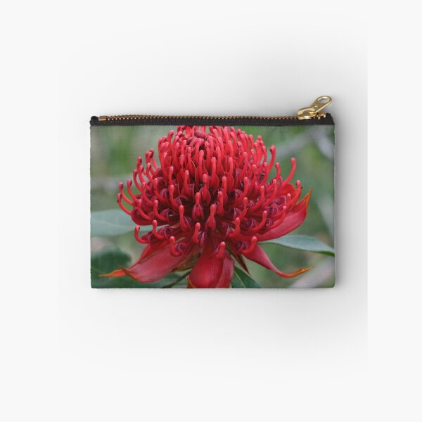 Item preview, Miwa Gawaian or Telopea speciosissima designed and sold by ausnative.