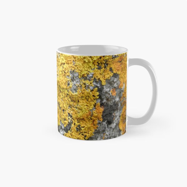 Item preview, Golden Lichen, Binalong Bay, Tasmania, Australia. designed and sold by kaysharp.