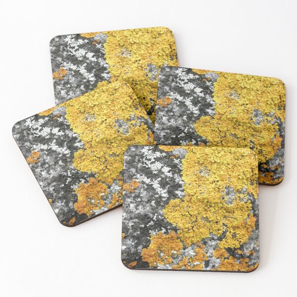 Item preview, Golden Lichen, Binalong Bay, Tasmania, Australia. designed and sold by kaysharp.