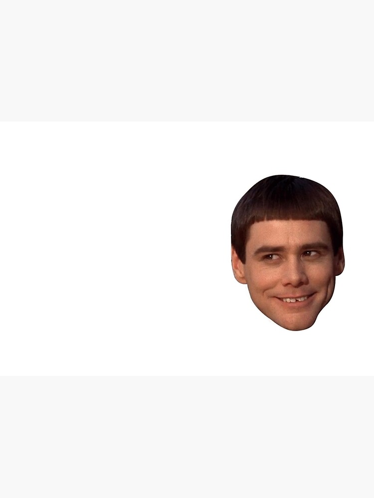 Lloyd Christmas - Dumb and Dumber - Jim Carrey | Journal