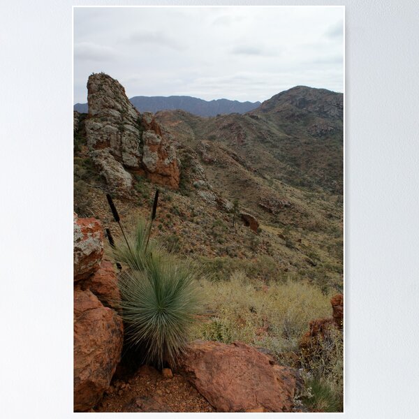 Item preview, Flinders Ranges Arkaroola designed and sold by wilderness.