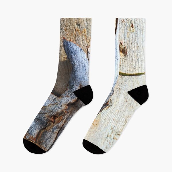 Item preview, Eucalyptus Bark designed and sold by Joy Watson - Natural Light Photography .