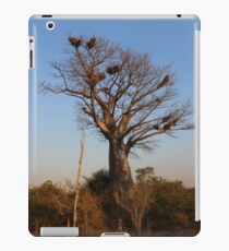 Peaceful iPad Case/Skin