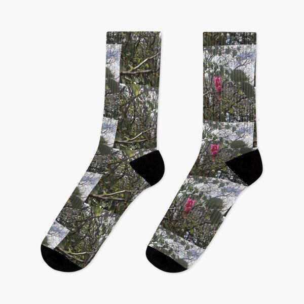 Item preview, Focus around Pink Flower designed and sold by Ovahill.