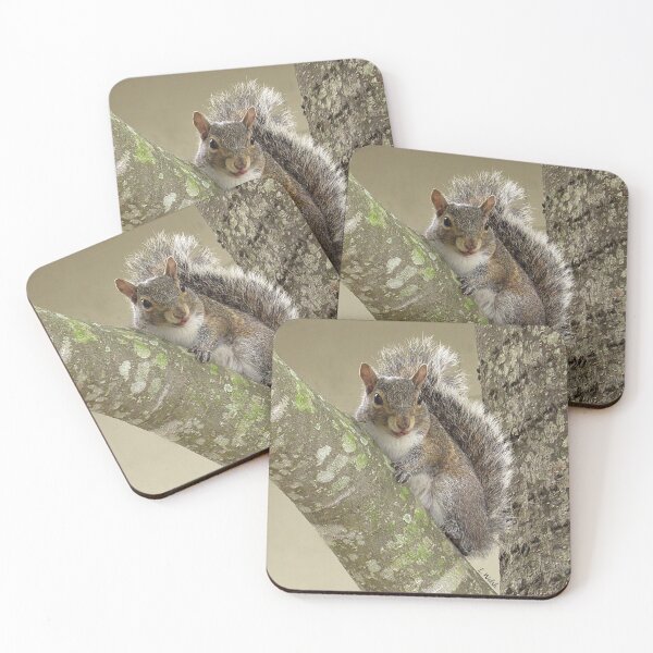 Item preview, Squirrel in Tree designed and sold by Linda Walsh.