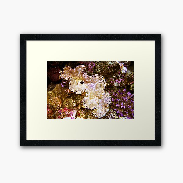 Wholeness and Unity Framed Art Print
