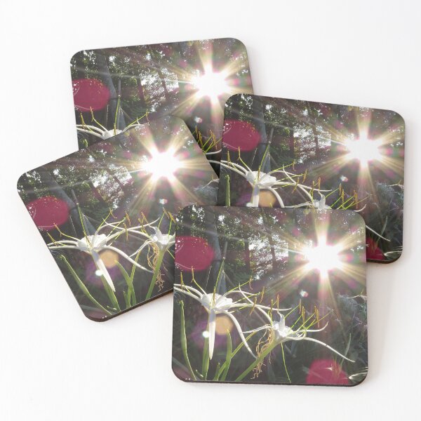 Item preview, Sunburst Spider Lilies designed and sold by Linda Walsh.