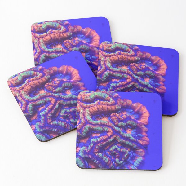Item preview, Macro Rainbow Wilsoni Coral  designed and sold by buzzmarshall.