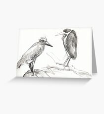 two birds standing around Greeting Card