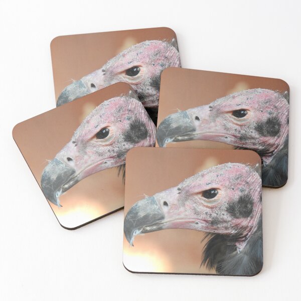 Item preview, Red-Headed Vulture  designed and sold by Martina Nicolls.