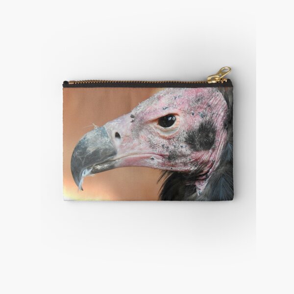 Item preview, Red-Headed Vulture  designed and sold by Martina Nicolls.