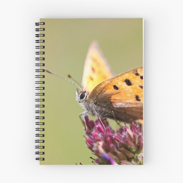 Item preview, Small copper butterfly designed and sold by GreyFeatherPhot.