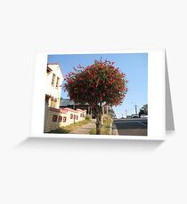 Callistemon Greeting Card