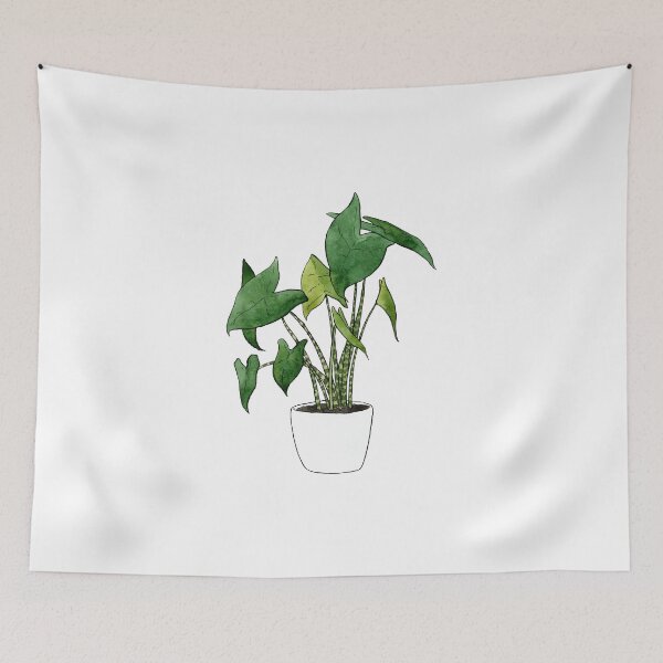 Item preview, Alocasia Zebrina Plant designed and sold by Markami.
