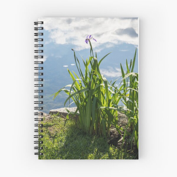 Item preview, Upside Down Skyscape - Glossy Pond and Irises  designed and sold by Georgia Mizuleva.