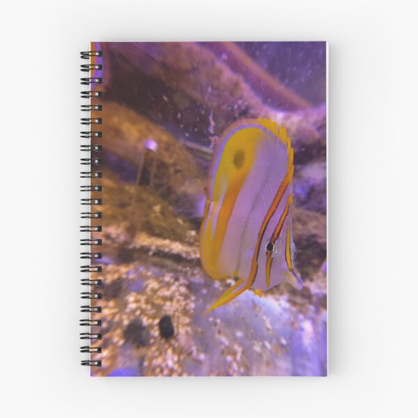 Item preview, Marginal Butterflyfish designed and sold by buzzmarshall.