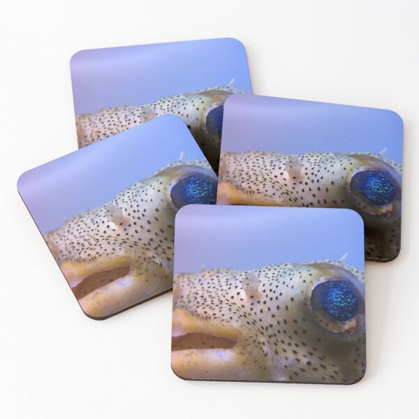 Item preview, Porcupine Puffer designed and sold by buzzmarshall.