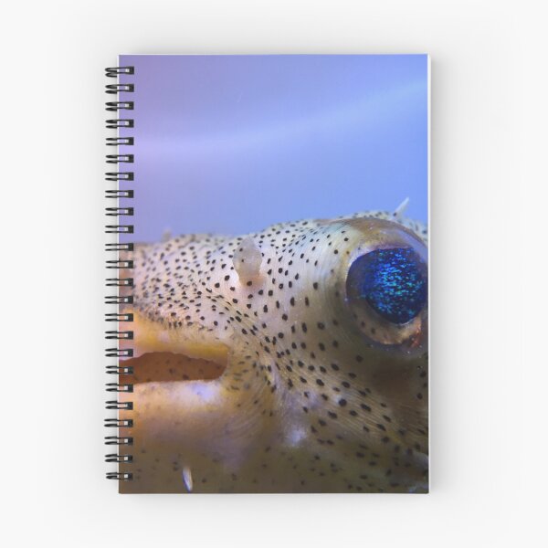 Item preview, Porcupine Puffer designed and sold by buzzmarshall.